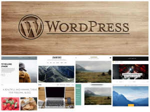 wordpress ideal themes