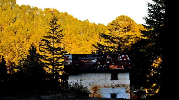 ranikhet