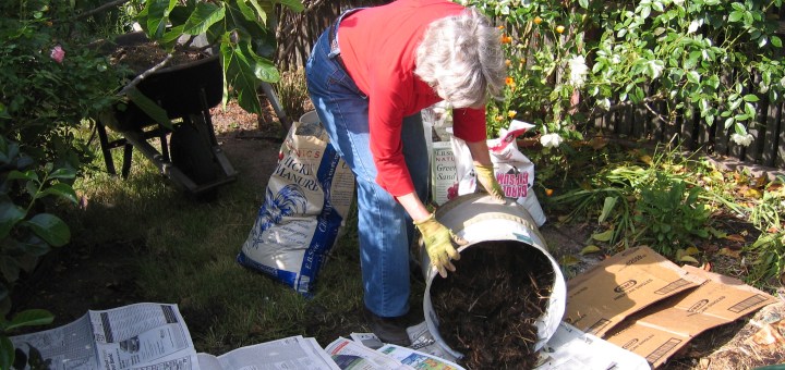 Black Wood Chips Mulch