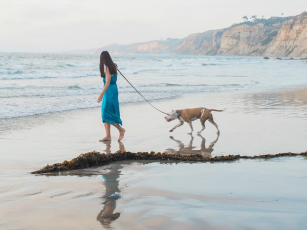 Flytographer San Diego Photographer 1