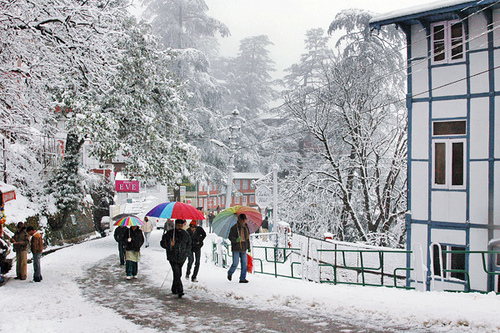 Group Tour Shimla India